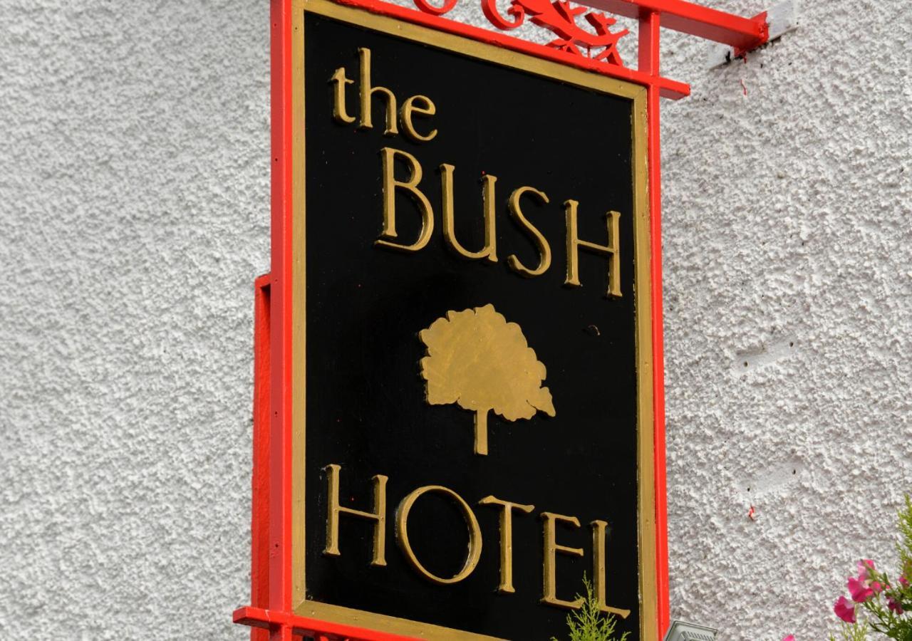 Bush